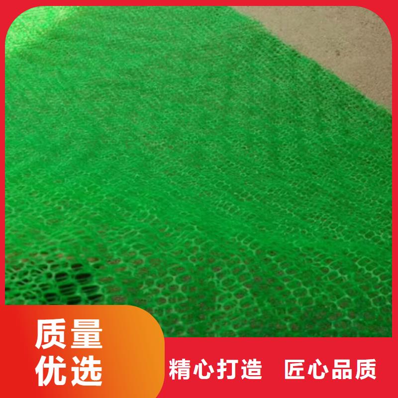 三维植被网,短丝土工布源头采购