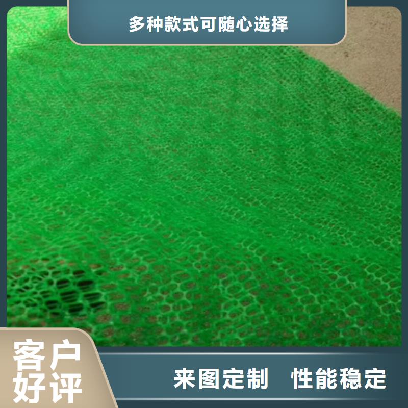 三维植被网防水土工布厂家一手货源