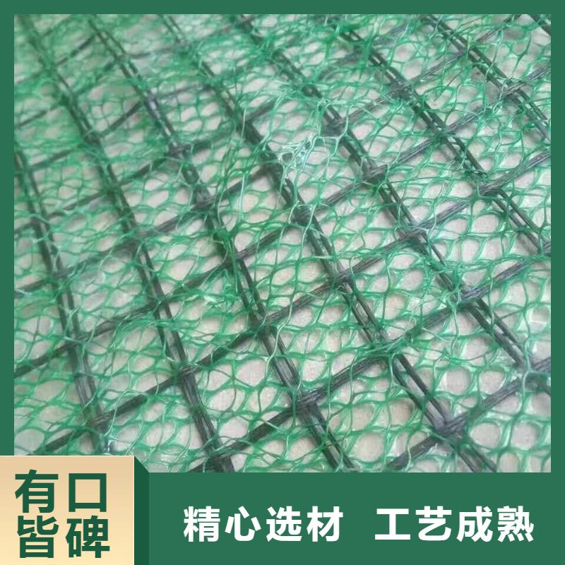 三维植被网玻纤土工格栅销售的是诚信