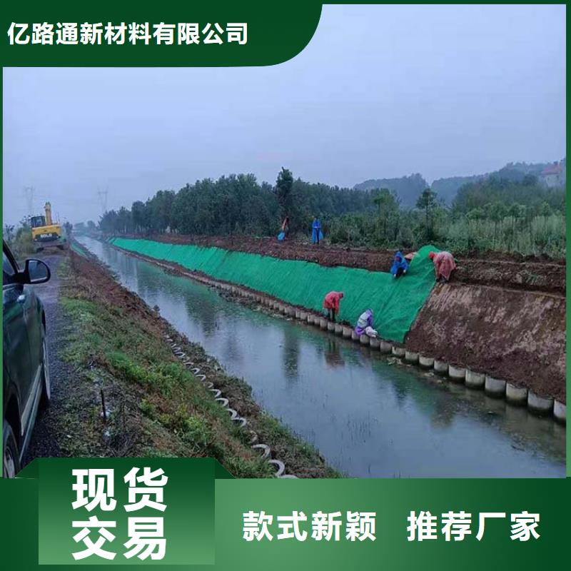 三维植被网玻纤土工格栅销售的是诚信