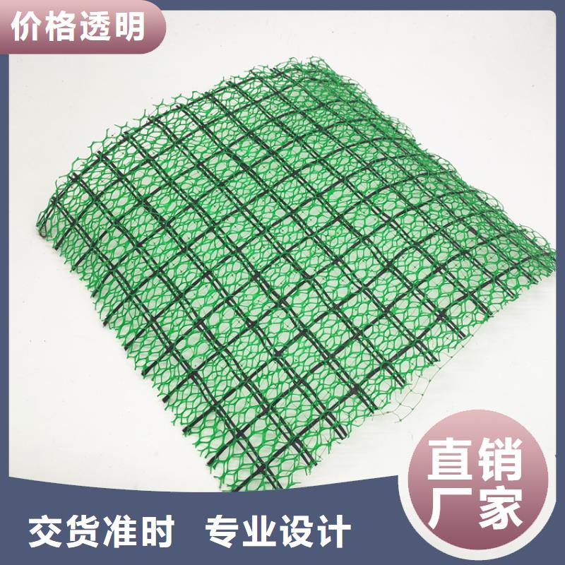 三维植被网-土工布批发源头厂家经验丰富