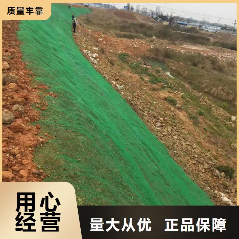三维植被网玻纤土工格栅销售的是诚信