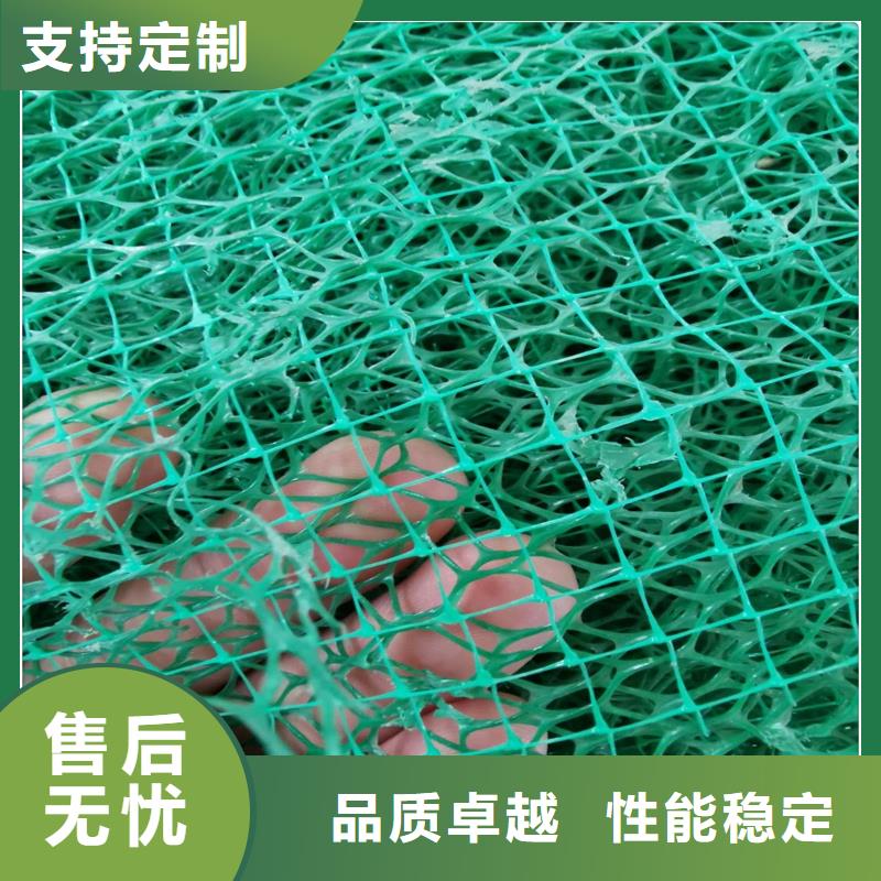 亿路通【 三维植被网-三维植被网厂家实力优品】-土工格室