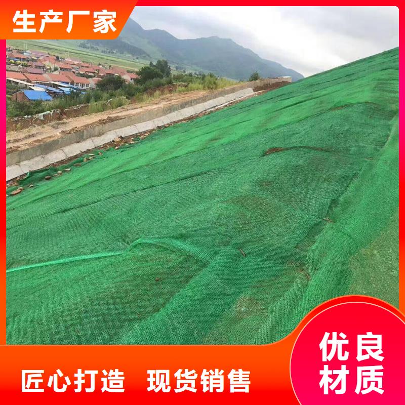 三维植被网_玻纤土工格栅按需设计