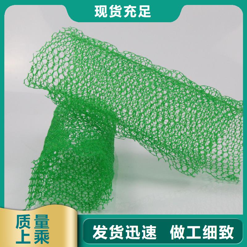 三维植被网_玻纤土工格栅按需设计