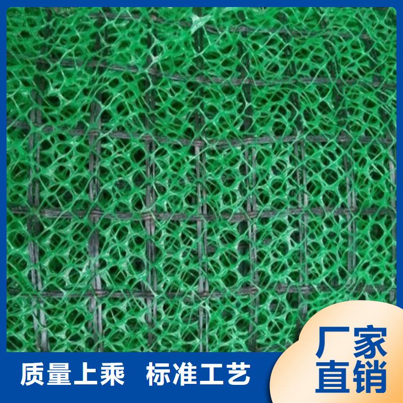三维植被网土工布批发厂家技术完善