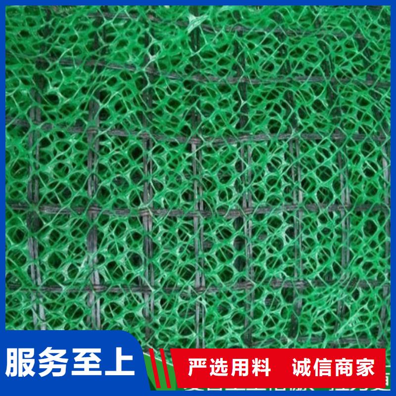 亿路通土工格室【三维植被网】_土工布批发同行低价
