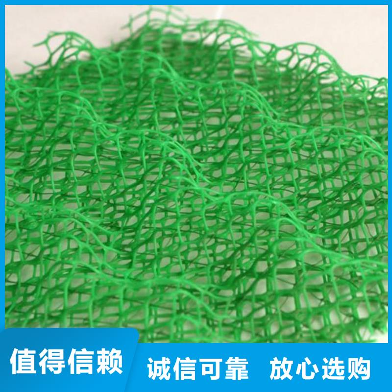 三维植被网土工布批发厂家技术完善