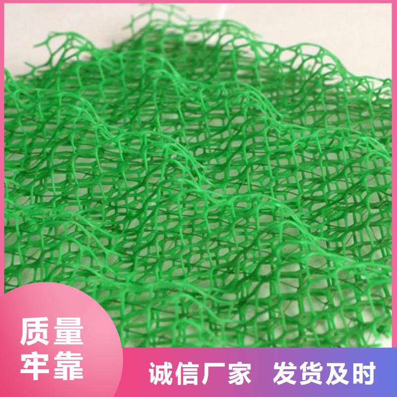 亿路通土工格室【三维植被网】_土工布批发同行低价