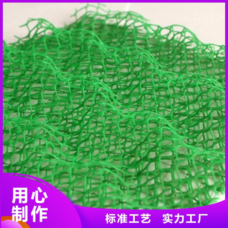 三维植被网-土工布批发源头厂家经验丰富