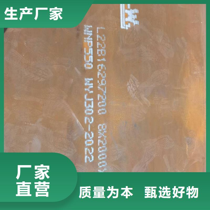 Q345B钢板厂家-可来厂考察