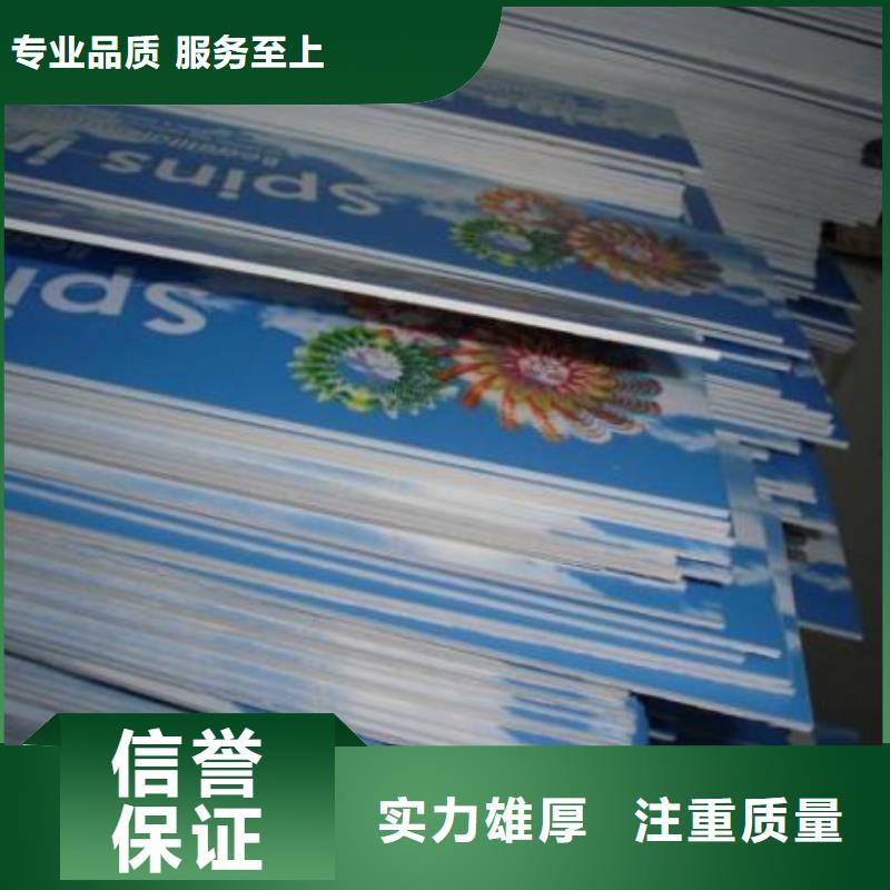 政亮化画册设计制作诚信经营