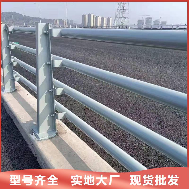 桥梁护栏【市政护栏】客户信赖的厂家