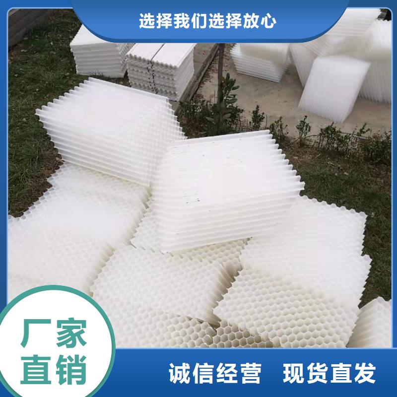 【斜管填料-煤质活性炭匠心打造】