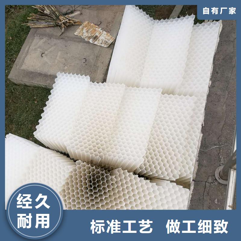 斜管填料-粉末活性炭现货采购