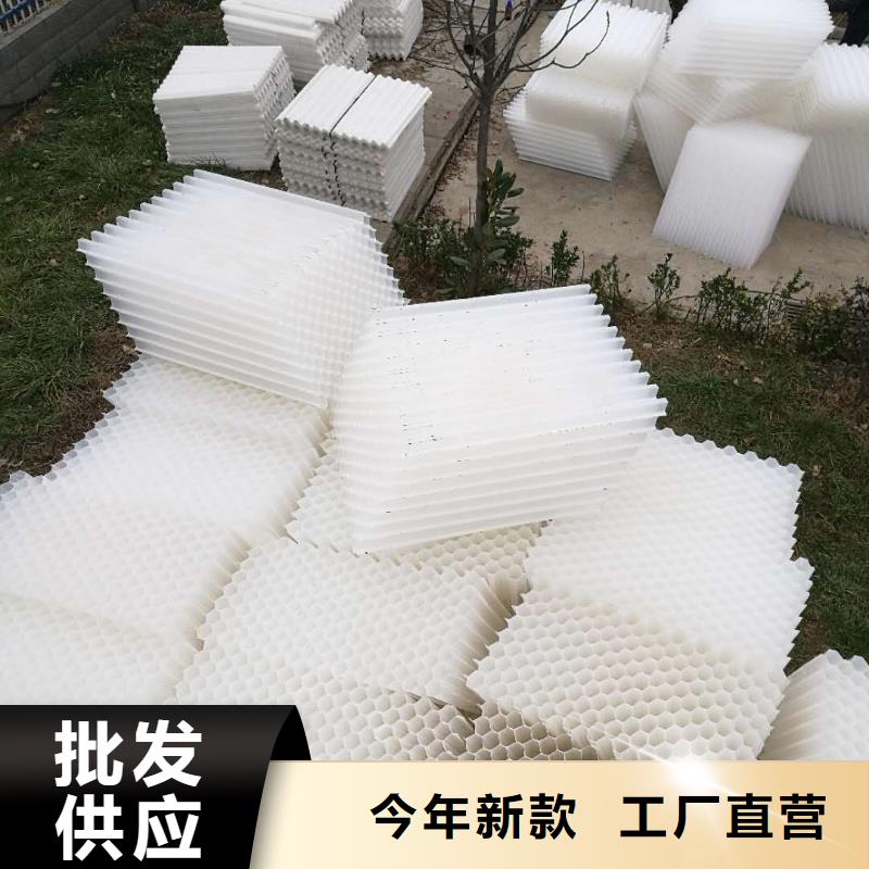 斜管填料聚丙烯酰胺严选材质