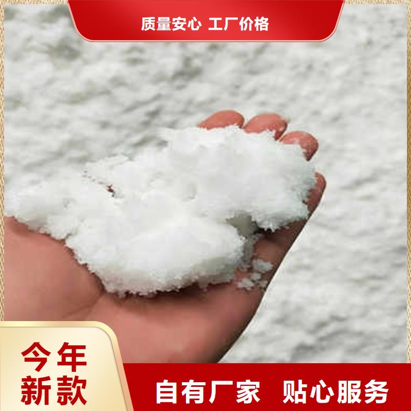 碳源-陶粒讲信誉保质量