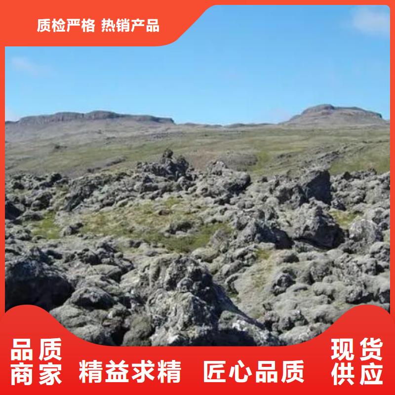 过滤用火山岩陶粒总代理