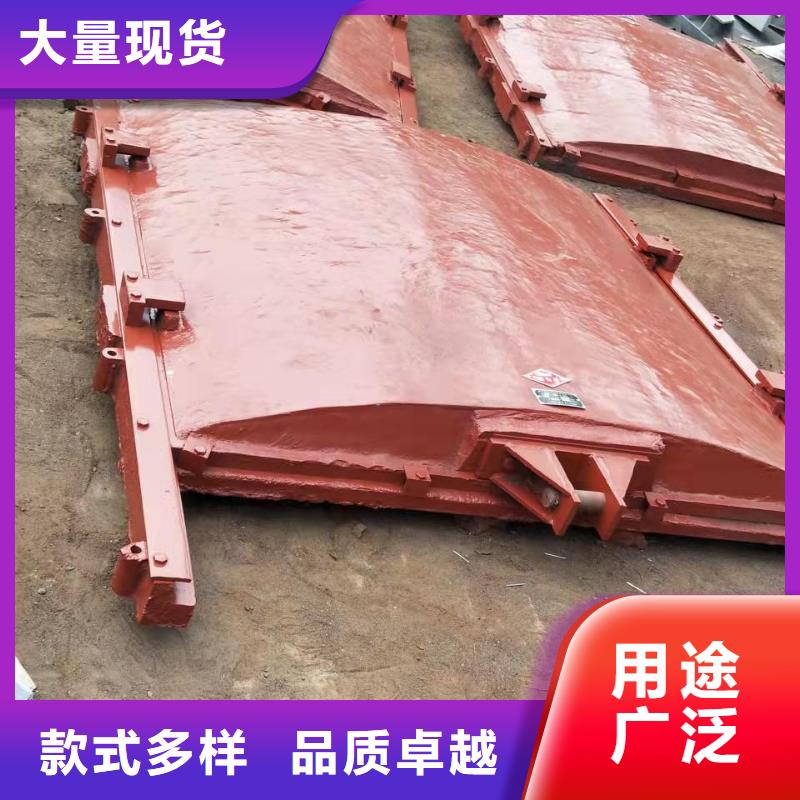 铸铁闸门_电动头启闭机源厂定制