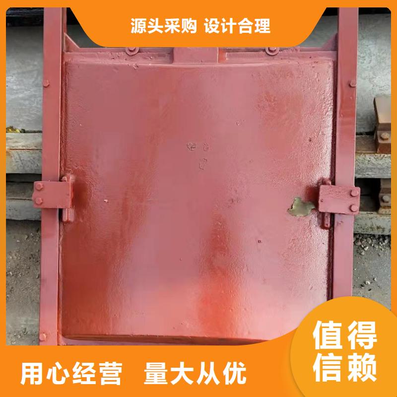 铸铁闸门自营品质有保障