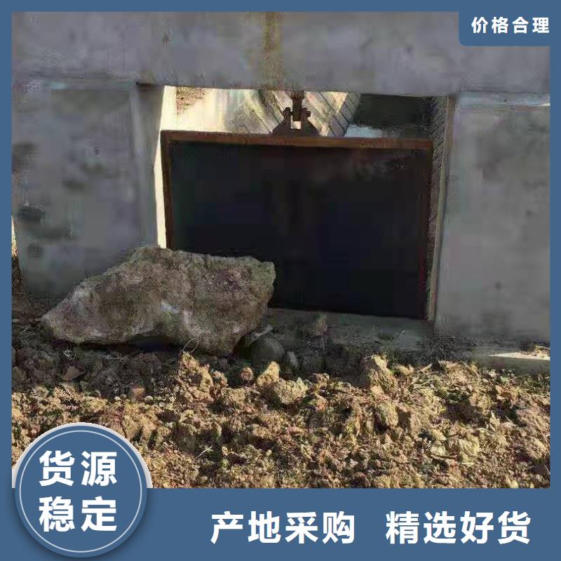 铸铁闸门有实力有经验