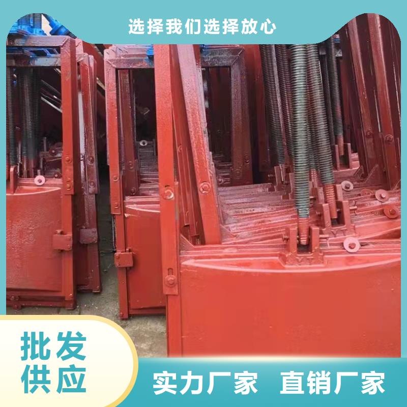 铸铁闸门-泵站清污机源头采购