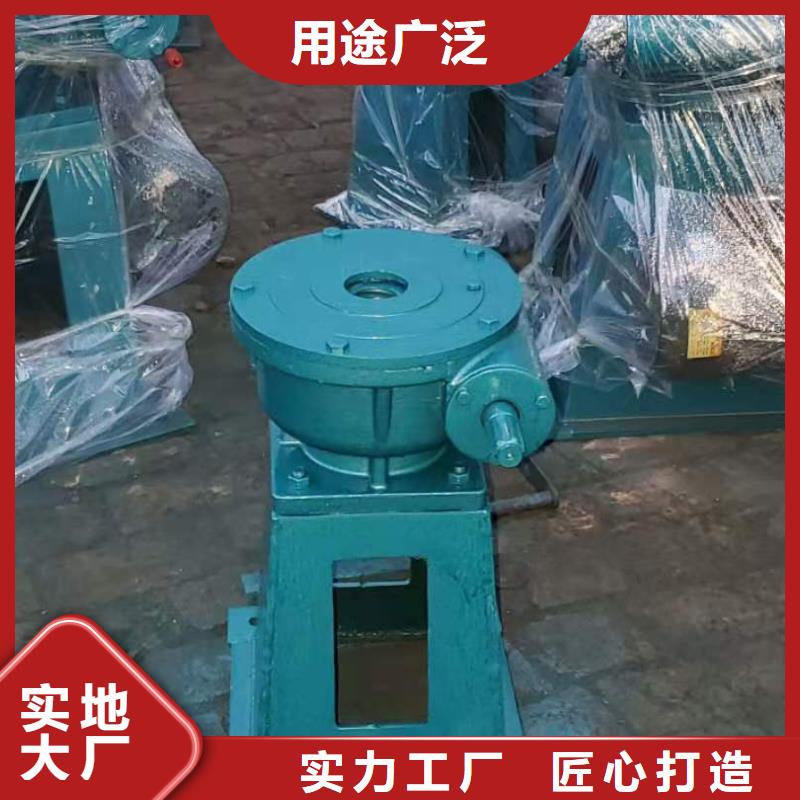  卷扬启闭机您身边的厂家