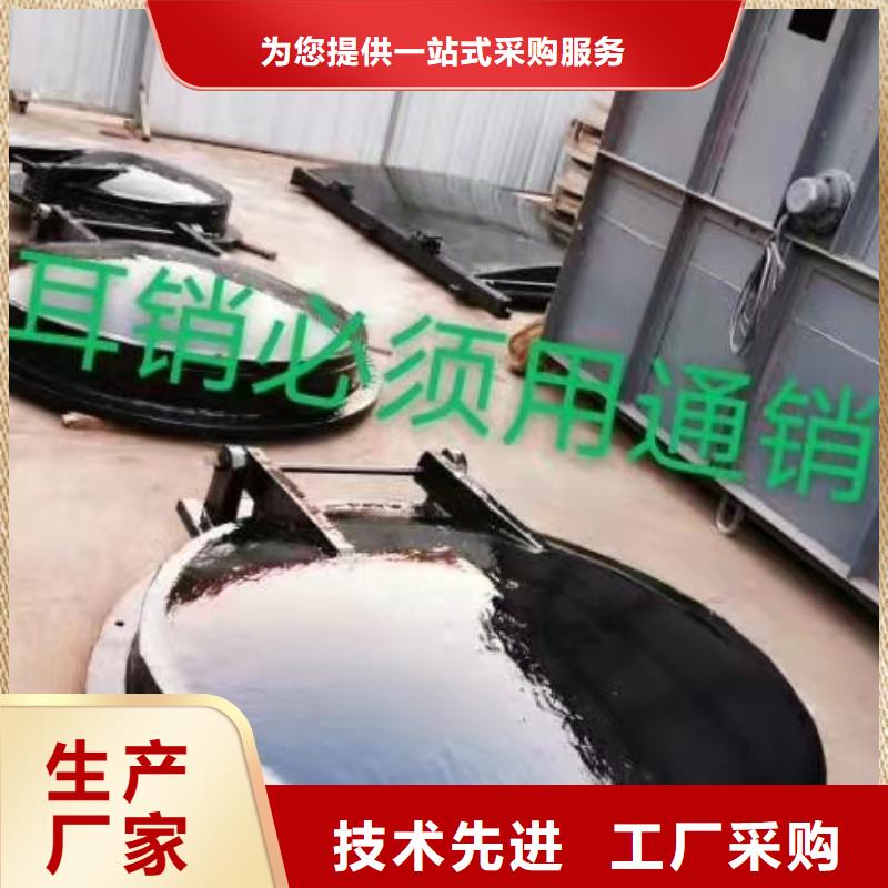 钢闸门-镶铜铸铁闸门品质做服务
