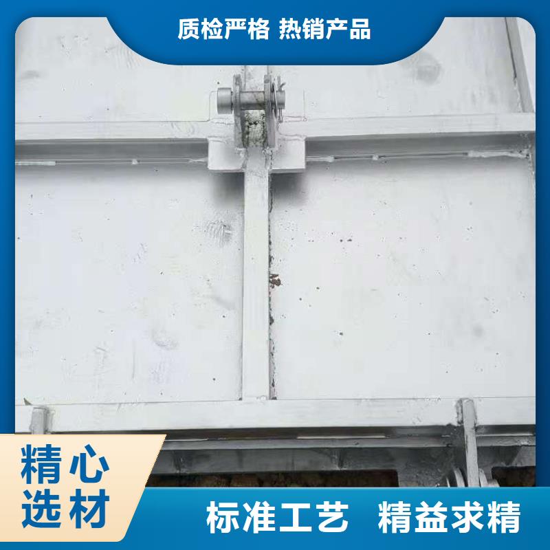  钢闸门品质之选
