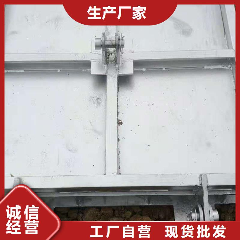 钢闸门48小时发货