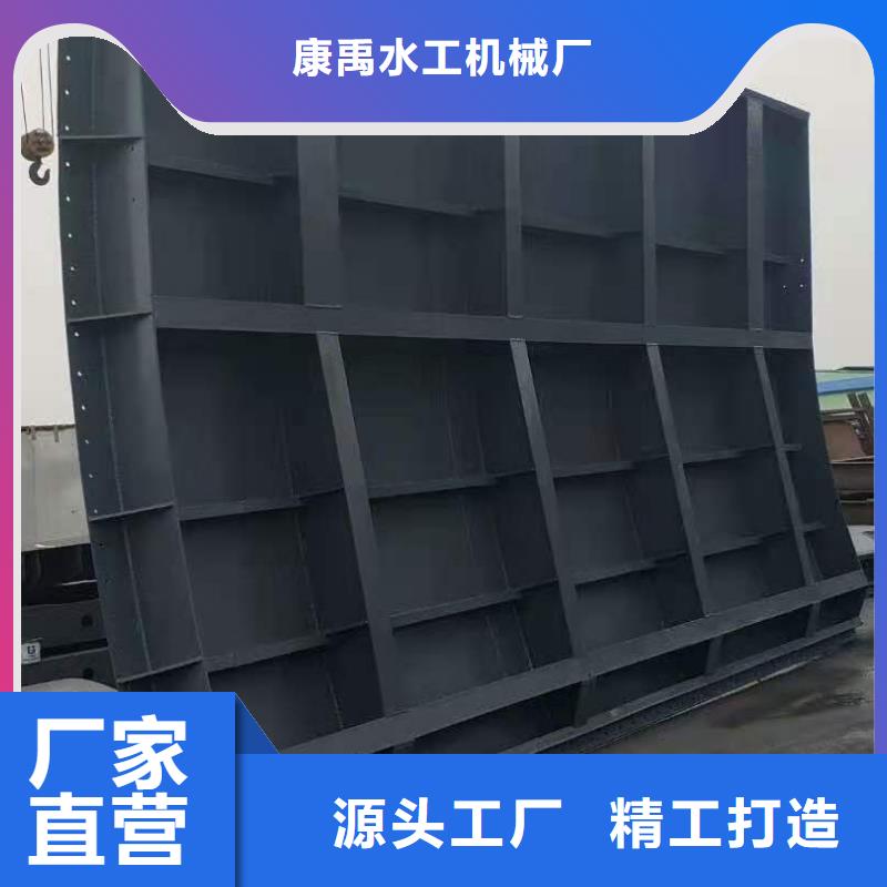钢闸门清污机厂家匠心打造