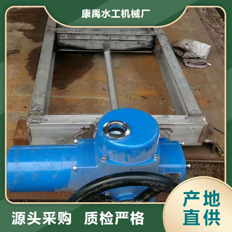  钢闸门专心专注专业
