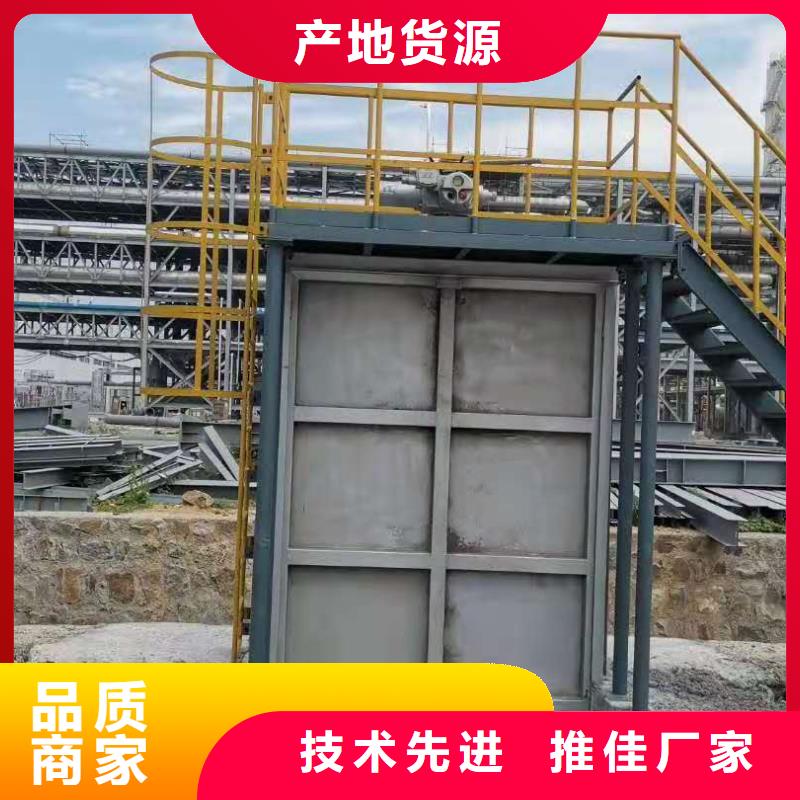 钢闸门泵站清污机颜色尺寸款式定制