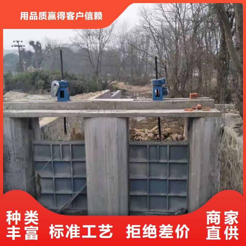  钢闸门品质之选