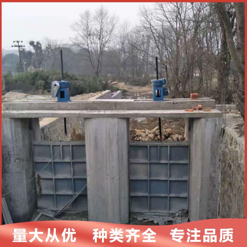 钢闸门 铸铁闸门品牌专营