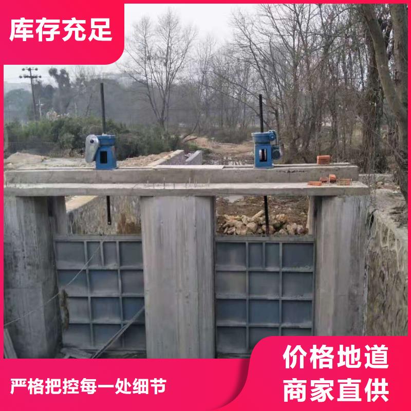 【钢闸门】,污水除污机做工精细