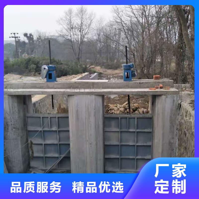  钢闸门真材实料诚信经营