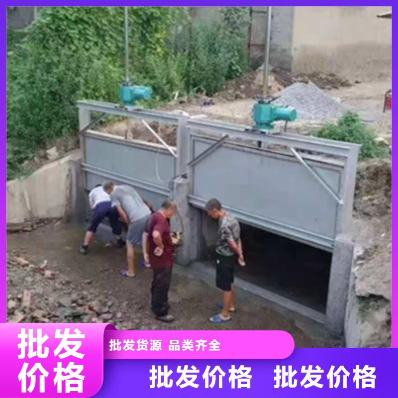  钢闸门精工打造
