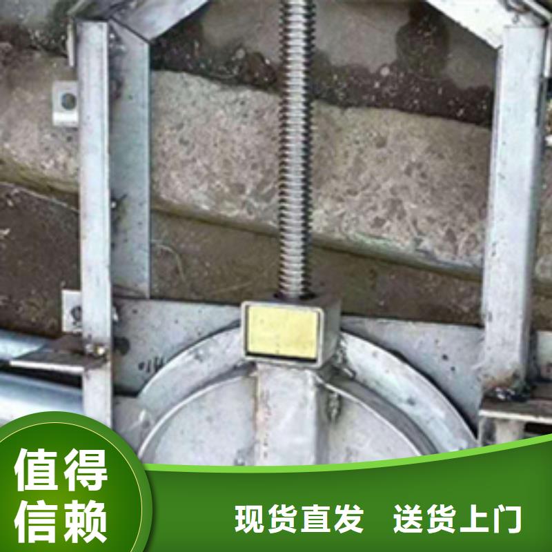  钢闸门品质之选