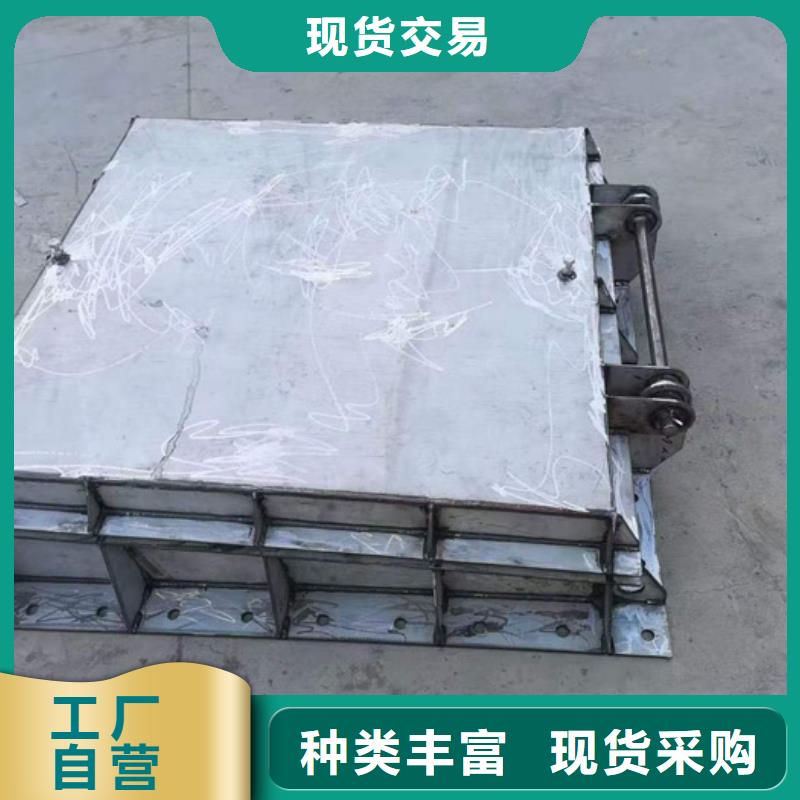 钢闸门 【拍门】品质不将就