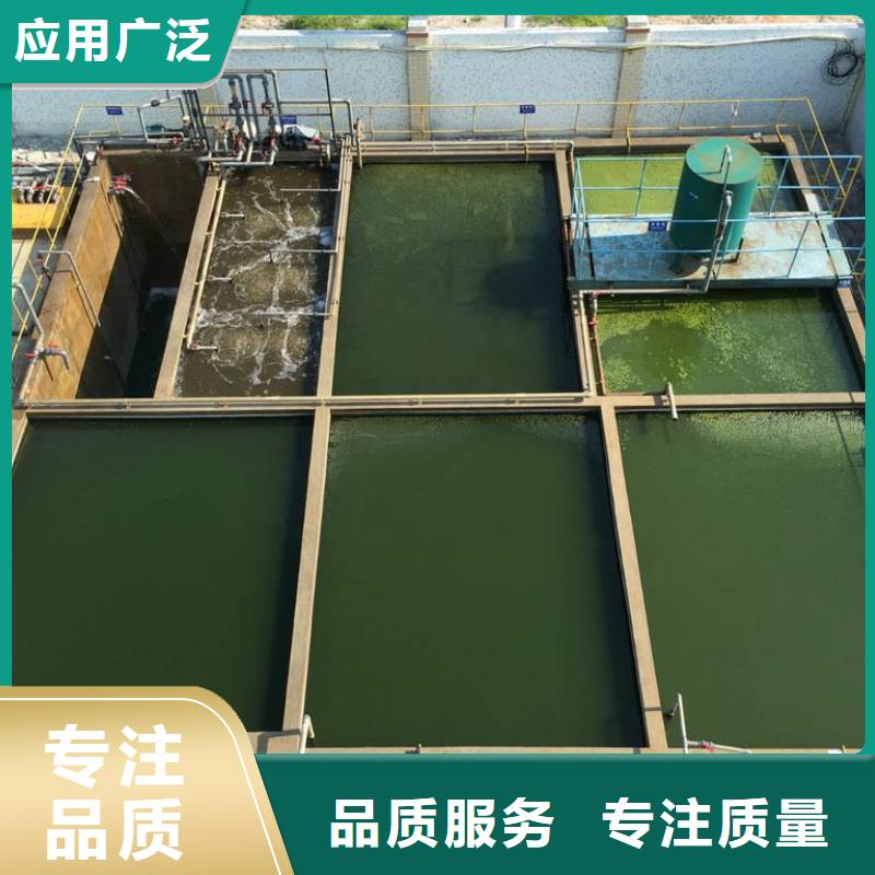 片碱,洗煤絮凝剂快捷的物流配送