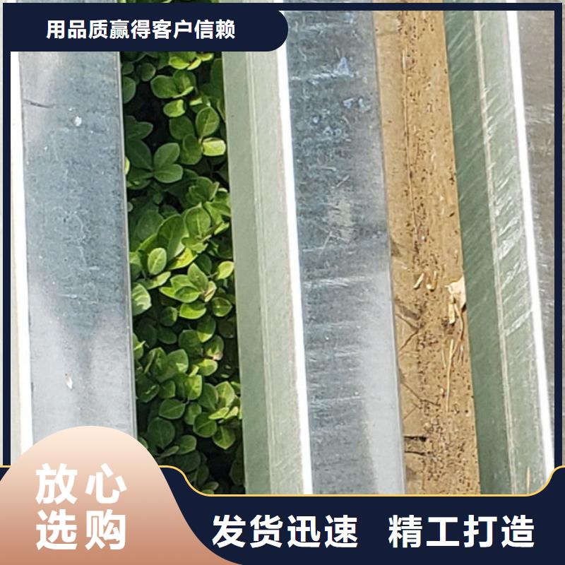 【护栏】【桥梁护栏】厂家规格全
