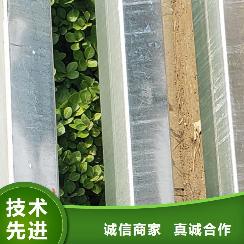 护栏可定制