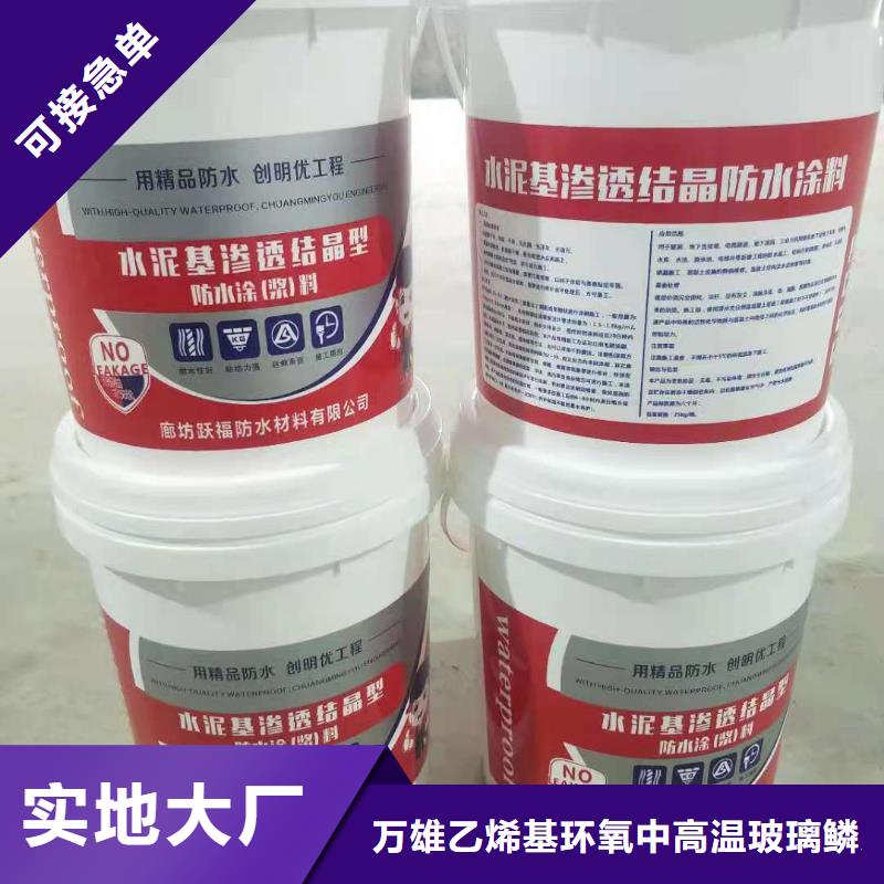 水泥基渗透结晶型防水涂料环氧玻璃鳞片胶泥实体诚信经营