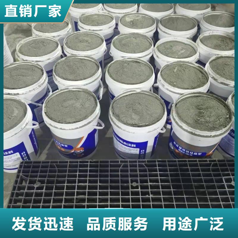 水泥基渗透结晶型防水涂料环氧玻璃鳞片胶泥实体诚信经营
