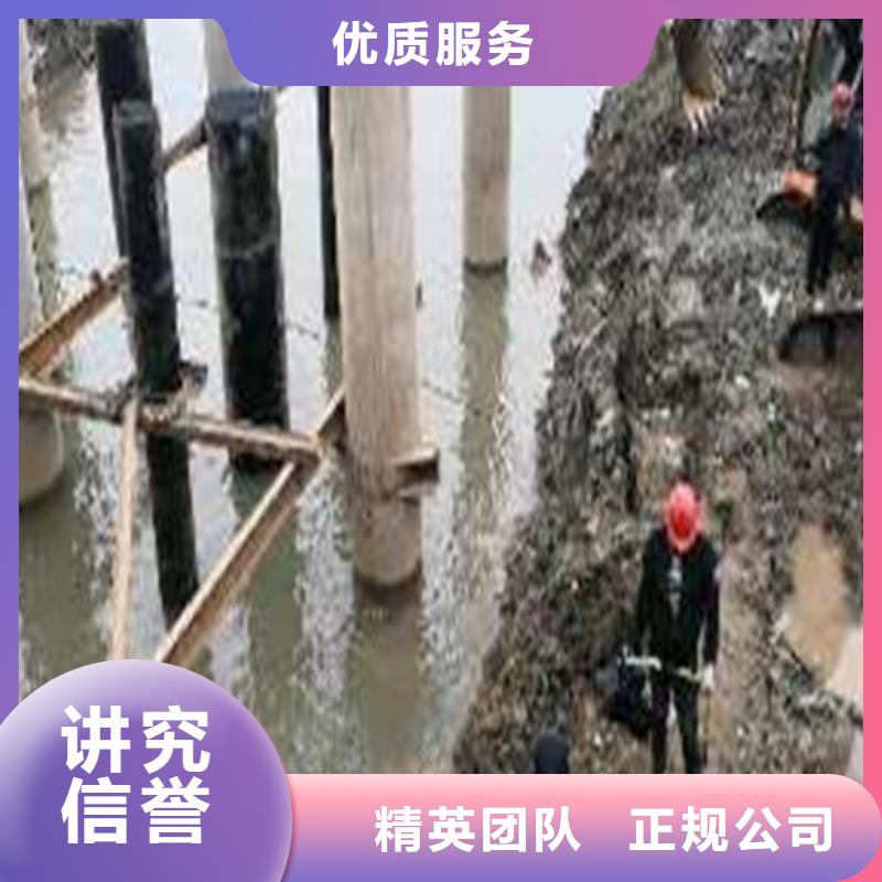 蛙人服务公司性价比高2025已更新
