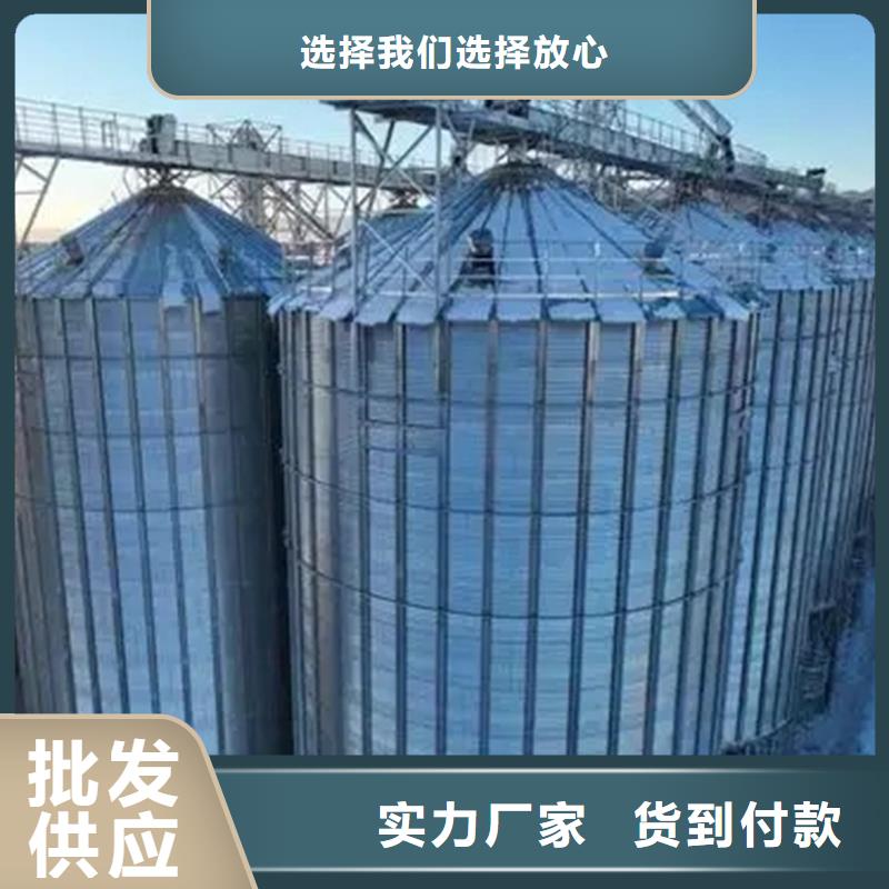 1000吨装配式粮食仓支持定制