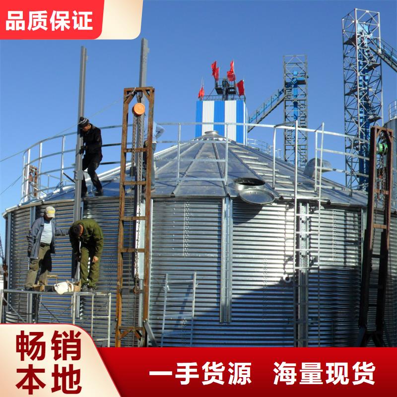 200吨玉米仓储筒仓生产厂家 支持定制