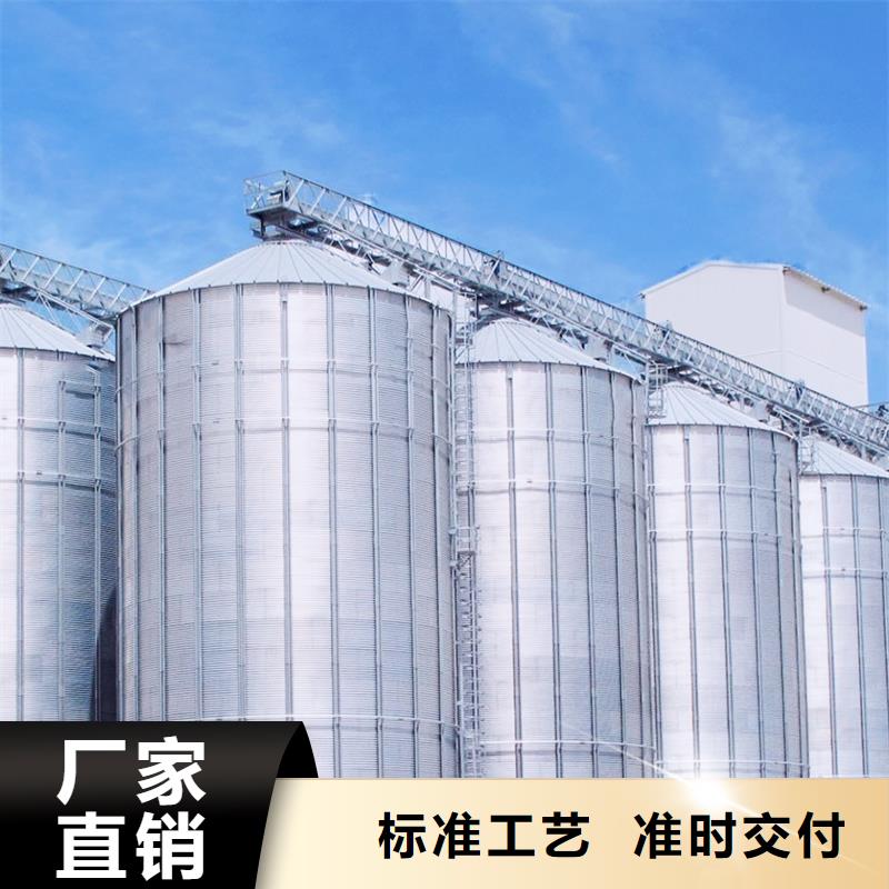 装配式粮食钢板仓队伍