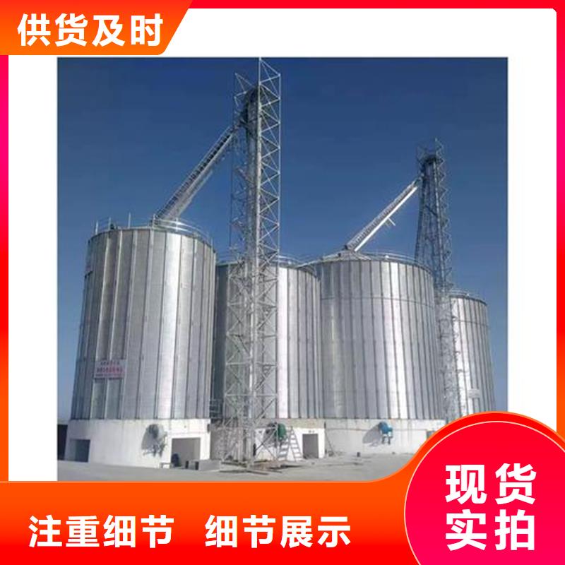 大型粮食存储设备-踏踏实实做产品